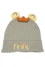 Erkek Bebek Yeşil Sarı Froq Nakışlı Kulaklı Bere 0-12 Ay 1